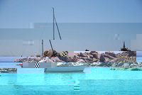 lavezzi copie.jpg (100.56 Kio) Consulté 4534 fois lavezzi copie.jpg