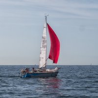 IMG_2709-Modifier-Modifier.jpg (230.57 Kio) Consulté 12694 fois IMG_2709-Modifier-Modifier.jpg