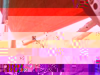 523326_457124130976221_13440668_n.jpg