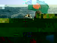 537780_512184388803528_1360962282_n.jpg