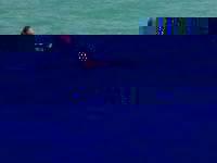 969871_10200110046090124_738328459_n.jpg