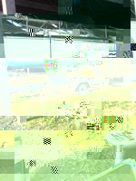 11263082_745275482256588_5119955894554291436_n.jpg