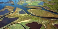 les-patrimoines-culturel-et-naturel-du-delta-de-la-leyre-seront-exposes-demain.jpg (60.3 Kio) Consulté 15378 fois les-patrimoines-culturel-et-naturel-du-delta-de-la-leyre-seront-exposes-demain.jpg