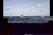 DSC02130.jpg
